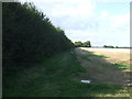 Bridleway towards Bury St Edmunds in IP29 5LZ