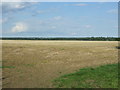 Stubble field off Park Lane in IP29 5LZ