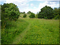 Grassy path, Bedfords Park in RM3 7JS