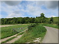 Road towards Martinsell Hill in SN8 4PA