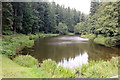 Soudley Ponds, Forest of Dean in GL14 2UG