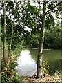 One of the fishing lakes at Cobbleacre in NR10 5RP