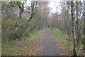 Path in Redford Wood in EH14 7JR