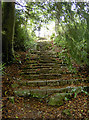 Rustic steps through the estate in BA5 3AH