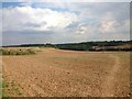 Footpath and Ploughed Field near Slade Hooton in S25 1YQ