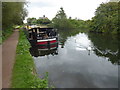 Boat and swans on the River Lee Navigation in EN9 1BN