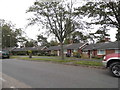 Bungalows on Crookhams, Welwyn Garden City in AL7 1UW