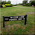 From Cow Lane to Mersey Way, Didcot in OX11 7QG