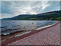 Shingle beach on Loch Ness in IV2 6EL