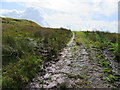 Muddy footpath above Will Clough in OL3 5LN