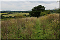 Footpath on the Shoulder of Barn Hill in E4 7RW