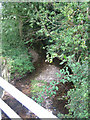 Stream under bridge near Bawdeswell in NR20 4RX