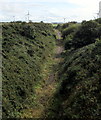 Single-track railway line south of Neyland Road, Steynton, Milford Haven in SA73 1HQ