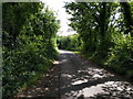Small lane heading for Hall's Farm in BA14 6HS