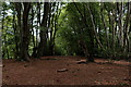 Epping Forest on Woodridden Hill in EN9 3RL