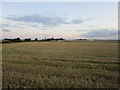 View towards Thorn Marsh Farm in HU12 9JR