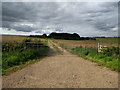 Farm track heading north from the A4 in SN8 1QD