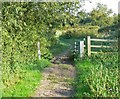 Towpath of the Grand Union Canal in LE12 8WH