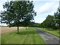 Tree-lined approach to Langley Priory in DE74 2AR