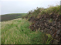 Dry stone wall on Woolacombe Down in EX34 7HL