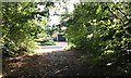 Approaching Knowle Lane in Cranleigh West Ward