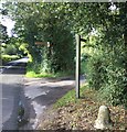 Bridge Farm Bridleway in Cranleigh West Ward