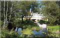 River Gipping, Rushbrook House through the trees in IP8 4DD