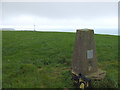 Trig Pillar on Challacombe Hill (S1601) in EX34 7HL