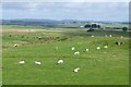 Looking north over Bavington Crags in NE19 2BN