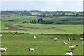 Looking down from Bavington Crags in NE19 2BN