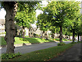 Tree-lined Burford High Street in OX18 4JF