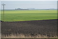 Farmland, Burnt Fen in CB7 4TD