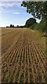Farmland next to the A447 in CV13 0DR