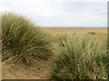 Sand dunes in St Annes in FY8 2TX