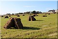 Hay bales drying at Newton in KW1 5SB