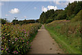 Path in River Darwen Parkway in BB3 0PZ