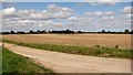 Fields by Fishley church in NR13 6GN
