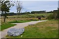 Picnic area near Tomintoul in AB37 9EG