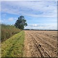 Footpath to Mawsley from Old in Old