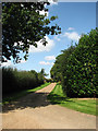 Driveway to Manor Farm in NR11 6RA