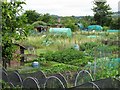 Allotments, Henley-in-Arden in B95 5ND