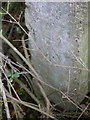 Cut Mark: Welbourn Low Fields, Gatepost in Navenby & Brant Broughton Ward