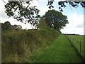 Footpath approaching Broadenham Farm in TA20 4EF