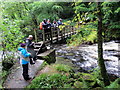 Pompren Afon Dwyfor / Afon Dwyfor footbridge in LL52 0ST