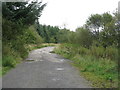 Forest track in ML11 8FE