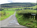Narrow lane leading to Saughtrees in DG10 9NX
