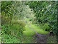 Trackbed of the former Churnet Valley Line in ST14 7AQ