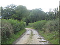 Bridleway to Thorncombe near Shedrick Bridge in TA20 4NB