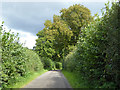 Lane in the general direction of Newbury in RG20 4TX