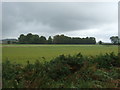 Farmland towards Church Farm in PE32 1EU